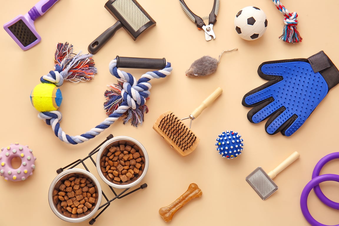 Different Pet Care Accessories on Color Background